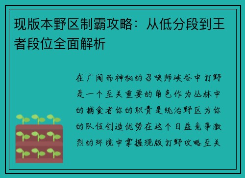 现版本野区制霸攻略：从低分段到王者段位全面解析